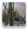 collage image title
